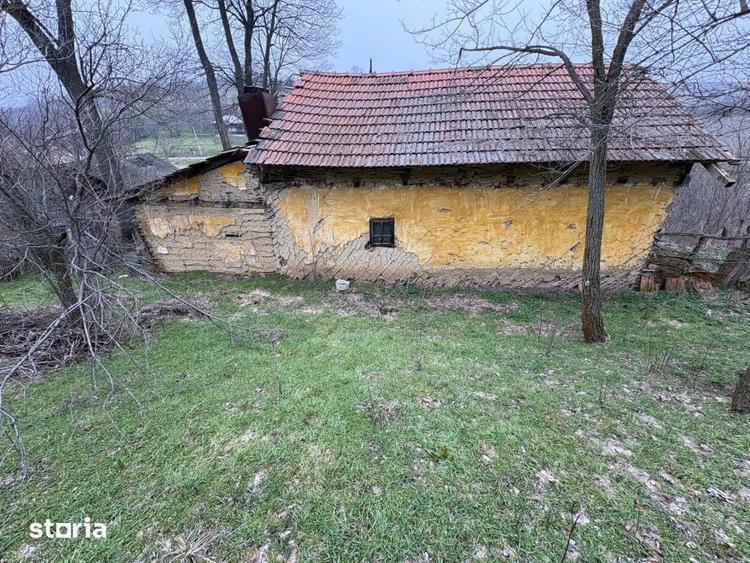 Teren 2.038 mp + Casa 50 mp de vanzare Sat Luncsoru, Com. Ghercest - 18