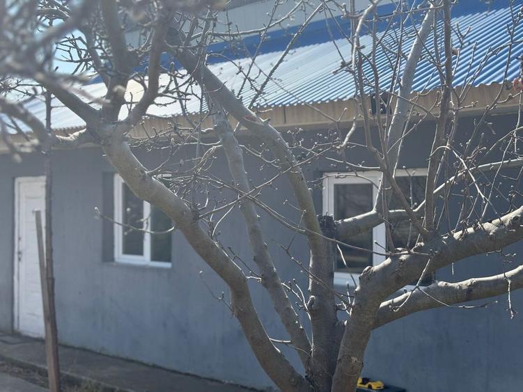 Casa mobilata cu posibilitate de mansarda - 4