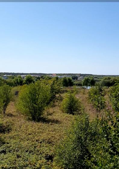 Teren spectaculos cu deschidere directă la lac – Corbeanca - 6