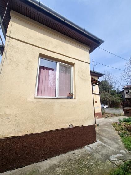 Casa situata in zona Blascovici, pe frumoasa strada Maslinului - 11