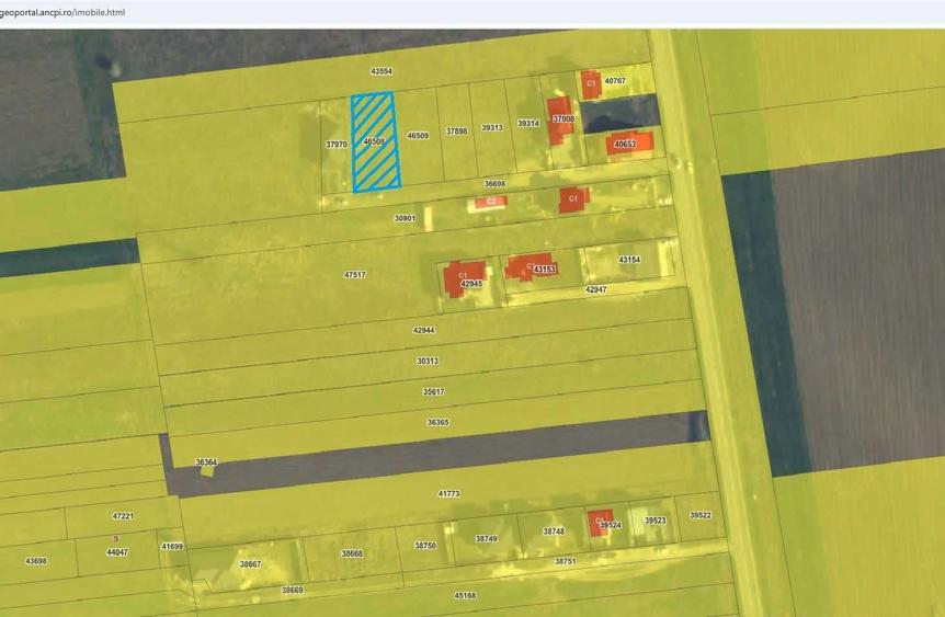 Teren Albesti, Calea Craiovei, Simnicu de Sus, Intravilan 655mp - 5