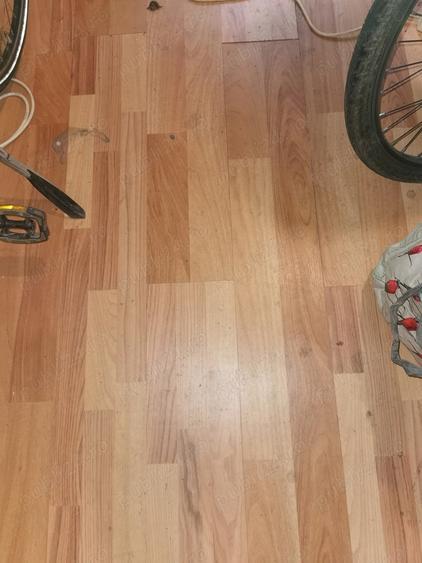 Schimb vand Casa Severin cu Simian Cerneti - 9