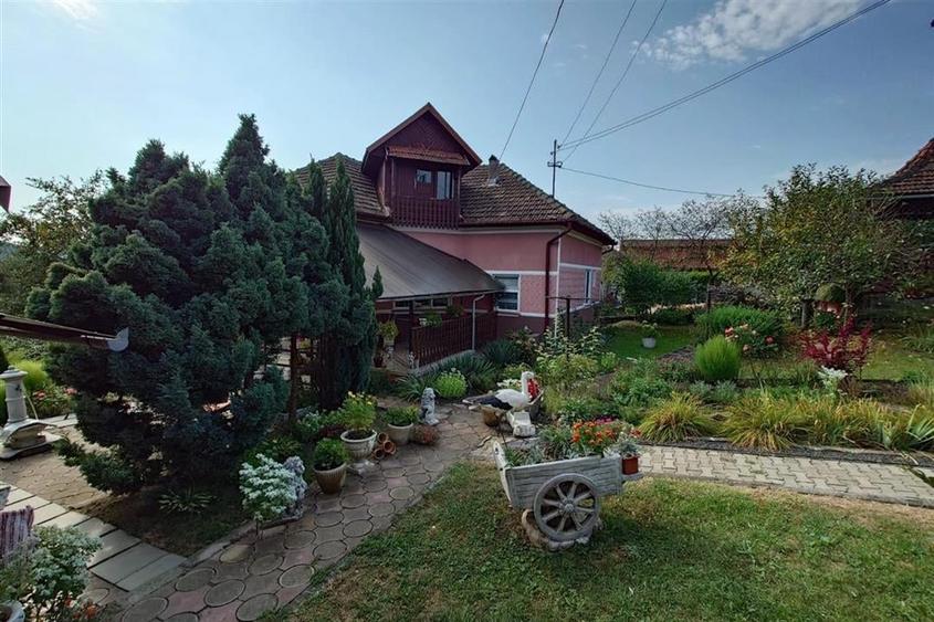 Casa cu Gradina, Parc si Priveliste in Brad, Jd. Hd - 2