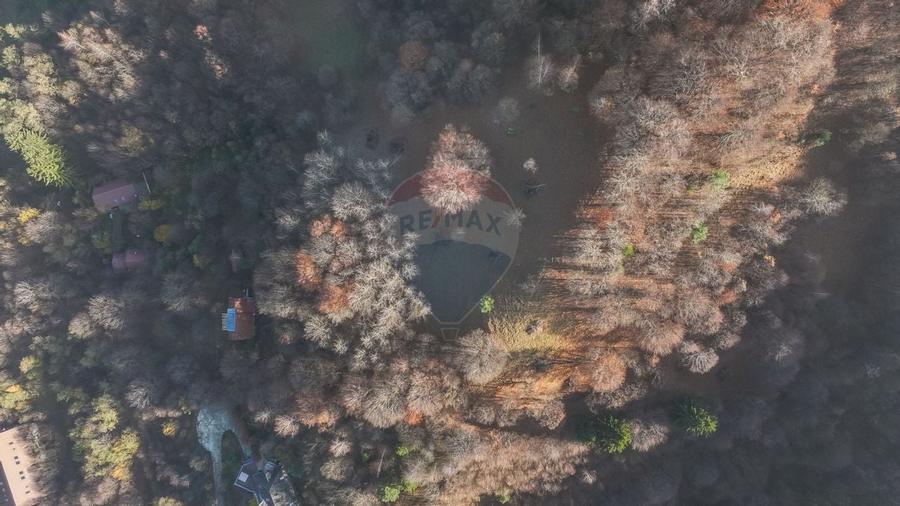 Teren Colinar Panoramic – 17.684 mp în Scheii Brașovului - 4