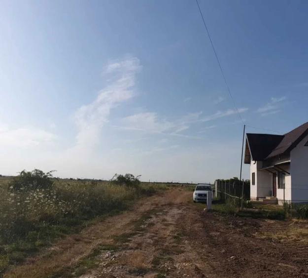 Domnesti If 2500 mp intravilan str Merisorului - 9