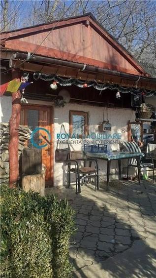 Royal Imobiliare - Vanzare Casa de Vacanta zona Pacureti - 2
