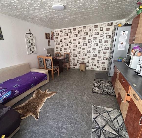 Vand casa brailita - 8