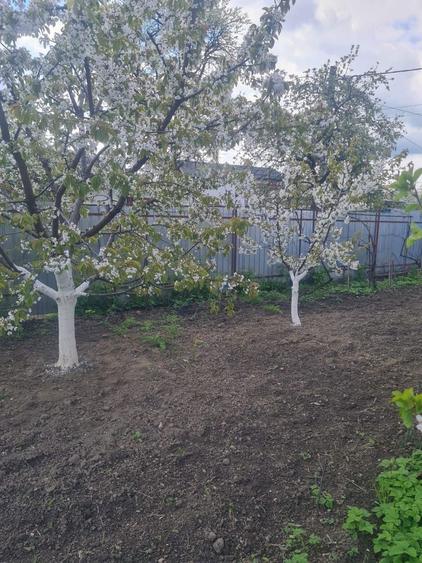 Casa batraneasca - cartierul CFR - 3