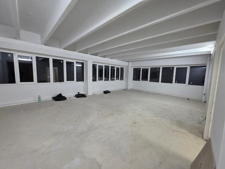 Theodor Pallady, 10 minute metrou 1 Decembrie 1918, stradal - 7