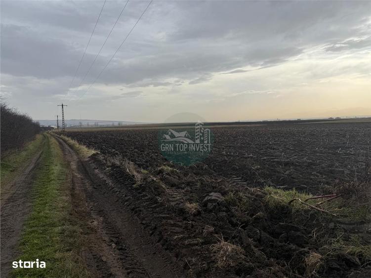 Teren extravilan in EXCLUSIVITATE 20300 mp in Sura Mica - 1