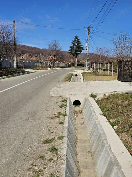 CASA cu LIVADA incepe o noua afacere sau conecteaza-te cu natura!!! - 3