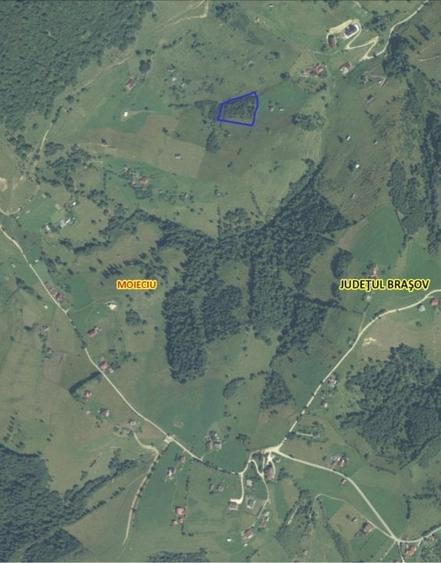 VÂNZARE TEREN CU POTENȚIAL DE DEZVOLTARE ÎN ZONA TURISTICĂ MAGURA-PESTERA - 2