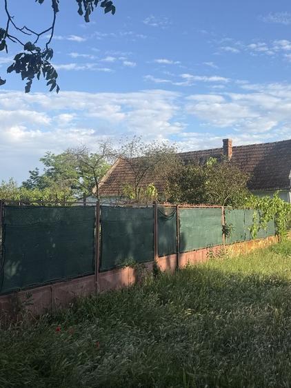 Vand casa in localitatea gelu - 5