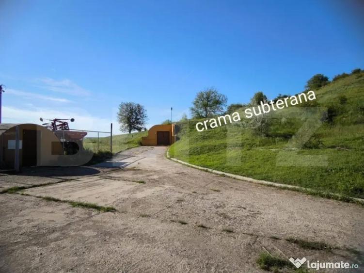 Oportunitate! Sala de evenimente, benzinarie si spalatorie a - 13