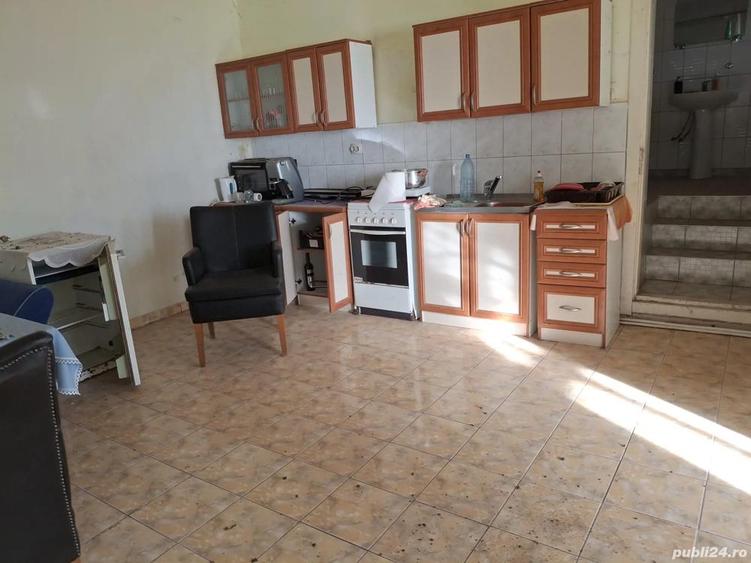 Casa de vanzare + teren 8000 mp - 4