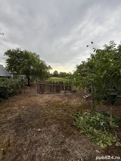 Casa de vanzare Com. Gavojdia - 5