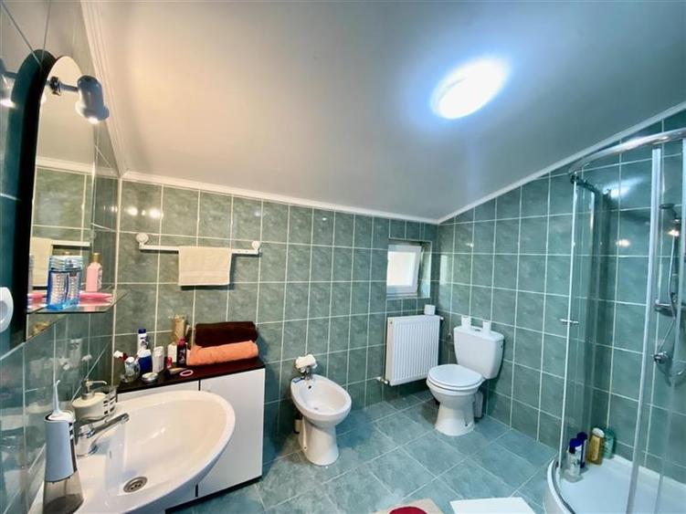 Casa de inchiriat Ultracentral str. Muresenilor cu gradina - 10