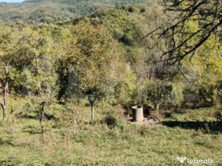 Teren cu priveli?te superba , livada ?i poten?ial casu? - 16