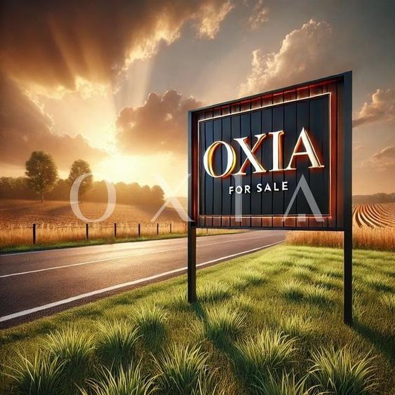 AX1131 Timisoara, Calea Lugojului, Teren Intravilan - 2