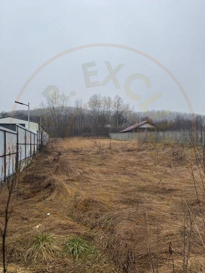 Teren Construcții intravilan de 1758 mp, în Drăganu-Olteni