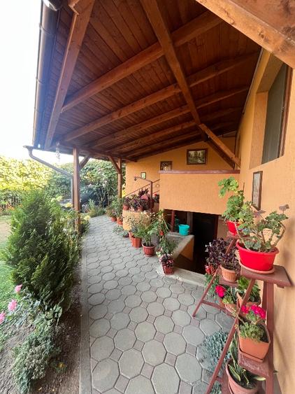 Casă individuală cu 3 camere cu Teren 5000 Mp în Daneș
