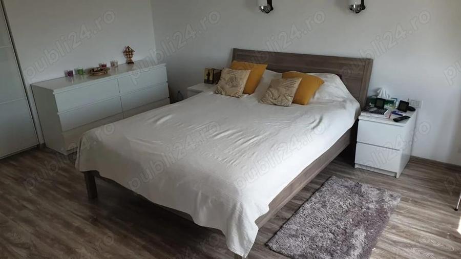 Casa Teghes-Domnesti - 4