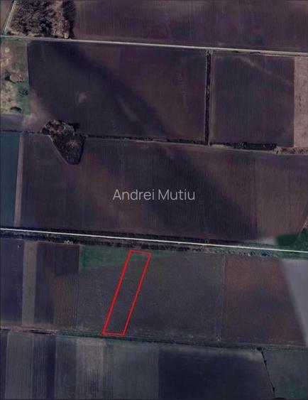 Teren Construcții intravilan de 9000 mp, în Borș