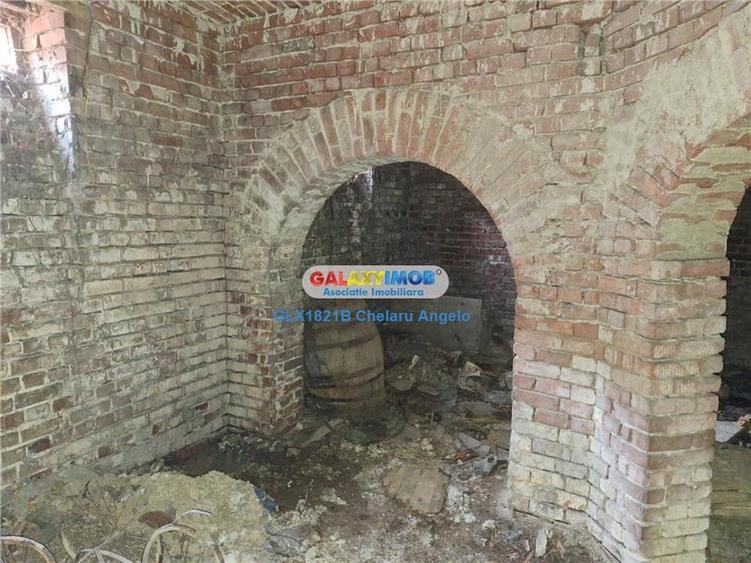 Unirii,Justitiei,vila D+P, impunatoare,supafata 236 mp teren 274 mp - 16