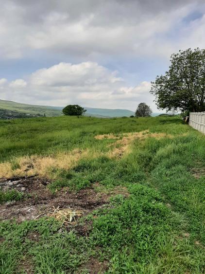 Vand teren intravilan - 1