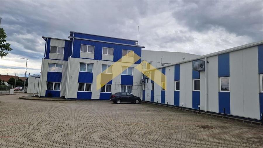 Hala industriala de vanzare in loc. Sfantul Gheorghe, jud. Covasna - 8