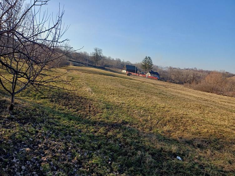 Proprietate 7400 mp, Mazanaesti(Suceava),casa renovata partial - 2