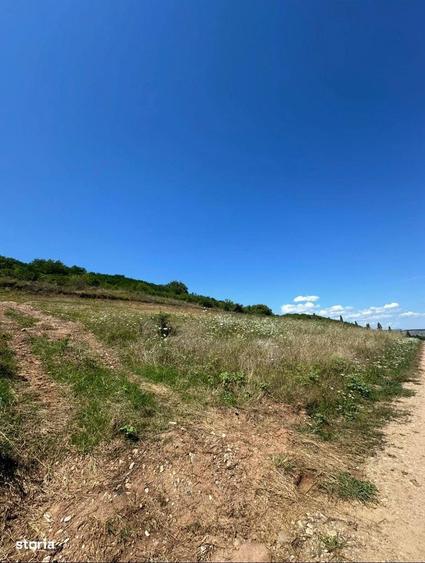 Teren zona Piata Cetate - 1