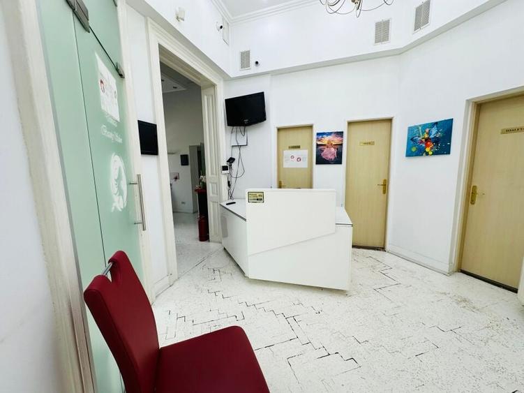 Armeneasca - Pache Protopopescu apartament in vila arhitectura deosebita - 13