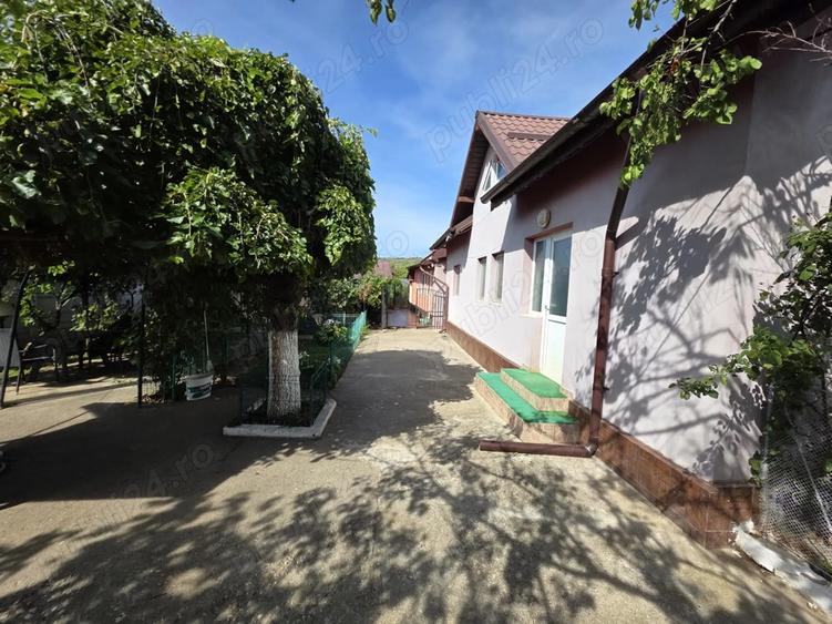 Casa 127 mp + teren 1800 mp, foisor si iaz - Dragasani - 1