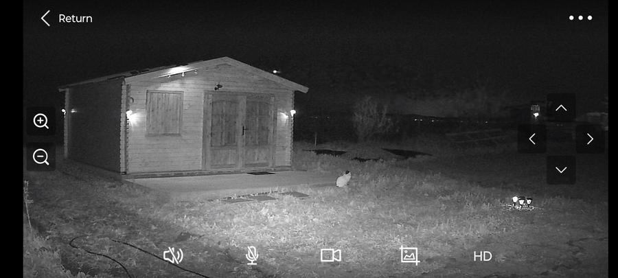 Căscioarele teren 1200 mp + căsuță de gradină și anexe - 6