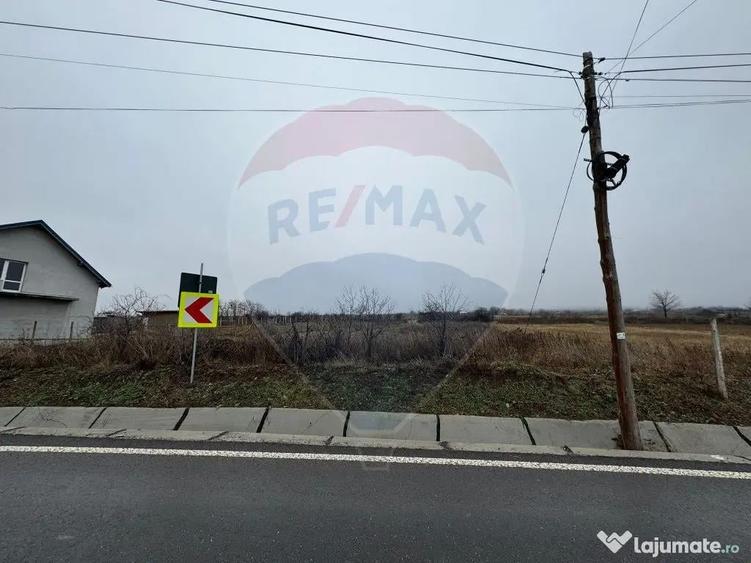 Teren intravilan 2,146 mp Carligele / Strada Vinului - 3