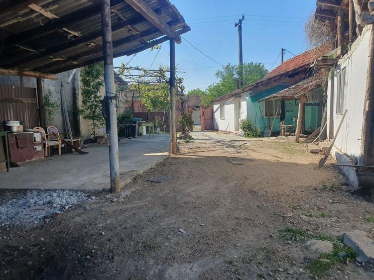 Csa de vanzare beliu - 3