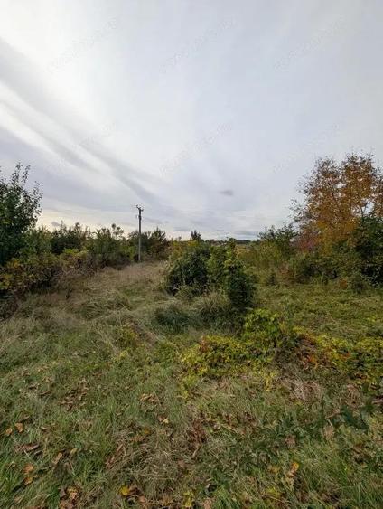 Teren 1966m Arcadie ?eptilici - TNT( Iner) - 2