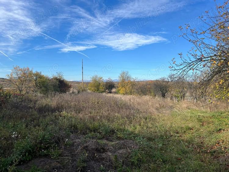 vand casa in Berbesti. - 5