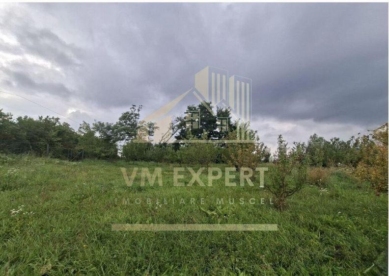 TEREN 20.621 MP CAMPULUNG - 6