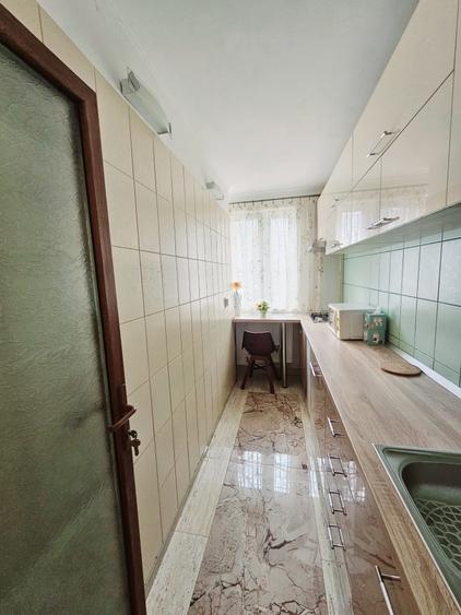 Garsonieră Dristor – Camil Ressu  - Parc Lake - 6