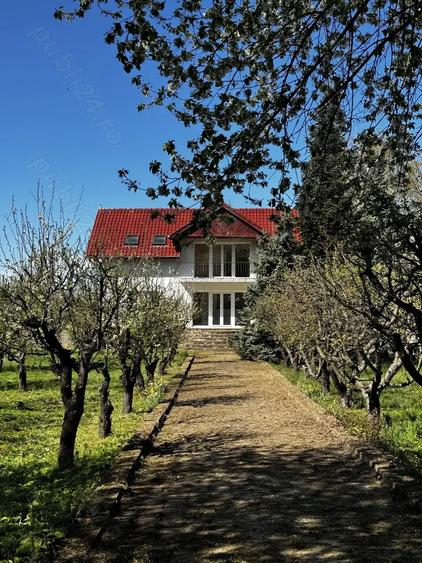 Vila cu livada Paulis, Arad - 1