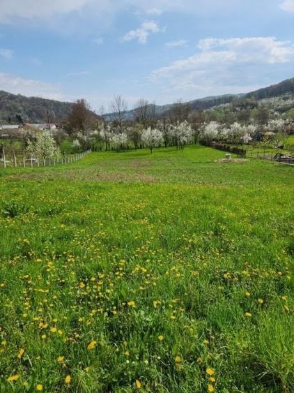 Teren vanzare in comuna Adunati - zona BREAZA - Prahova - 1