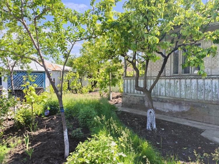Casa cu teren 10 ari - 3