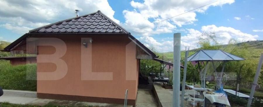 Casa+ casa vacanta, 2200 mp livada, Schitu-Duca - 4