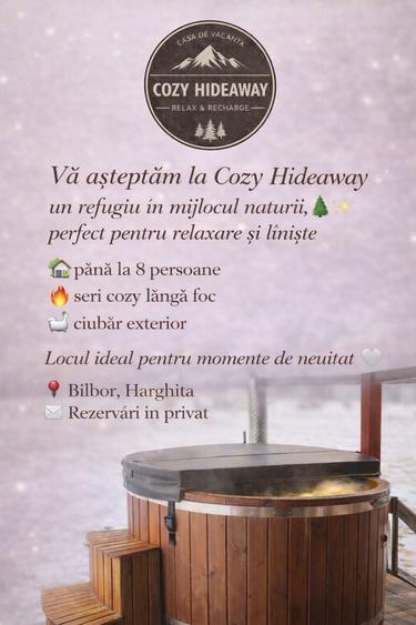 Casa de vacanta -Cozy Hideaway-Bilbor,Harghita - 4