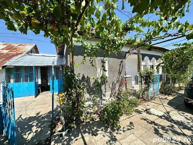 Casa Jiana Veche - 4