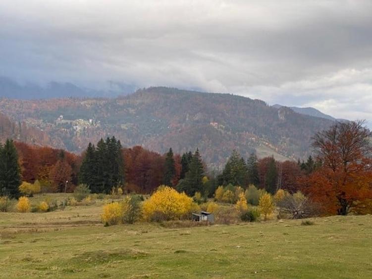 Oportunitate investitie turistica sau rezidentiala - teren intravilan 3 Brazi - 1