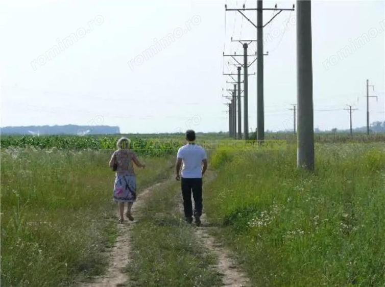 Teren 70 000 mp pretabil FOTOVOLTAIC de vanzare in Titu, jud Dambovita, negociabil - 3