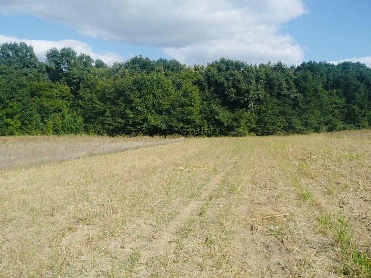 Teren intravilan Iasi Centura Miroslava Valea Ursului Uricani Gaureni - 8